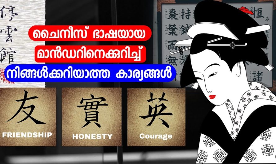 മാൻഡറിനെക്കുറിച്ച് നിങ്ങൾക്കറിയാത്ത കാര്യങ്ങൾ