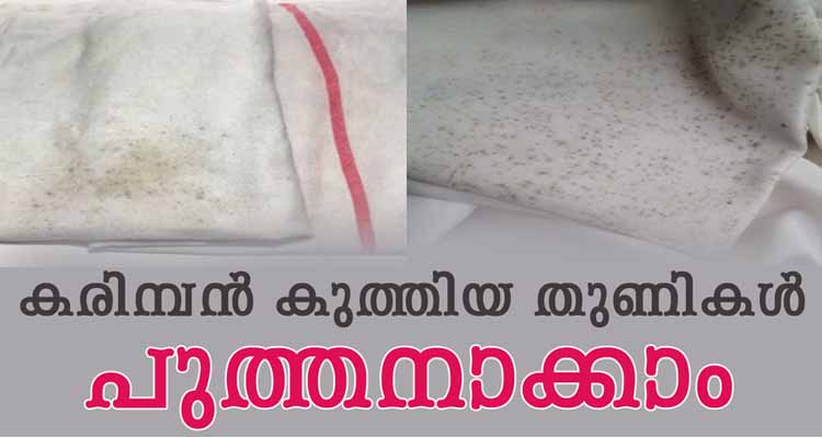 കരിമ്പൻ കുത്തിയ തുണികൾ പുത്തനാക്കാം