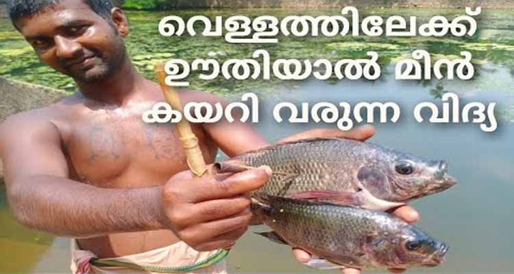 ഊതി മീന്‍ പിടിക്കുന്ന കിടിലന്‍ വിദ്യ