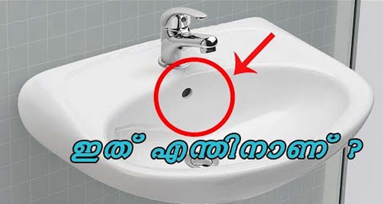 നിങ്ങൾ ഒരിക്കക്കെങ്കിലും ചിന്തിച്ചിട്ടുണ്ടോ ഇവയുടെ ഉപയോഗങ്ങൾ എന്താണ് എന്ന്?