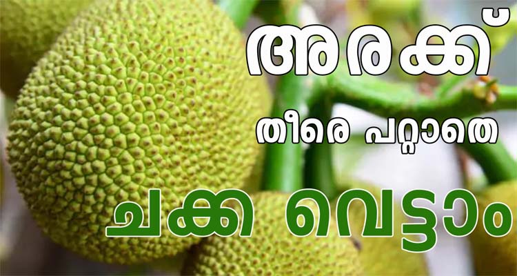 അൽപ്പം അരക്ക് പോലും കയ്യിൽ പറ്റാതെ ചക്ക വെട്ടാം