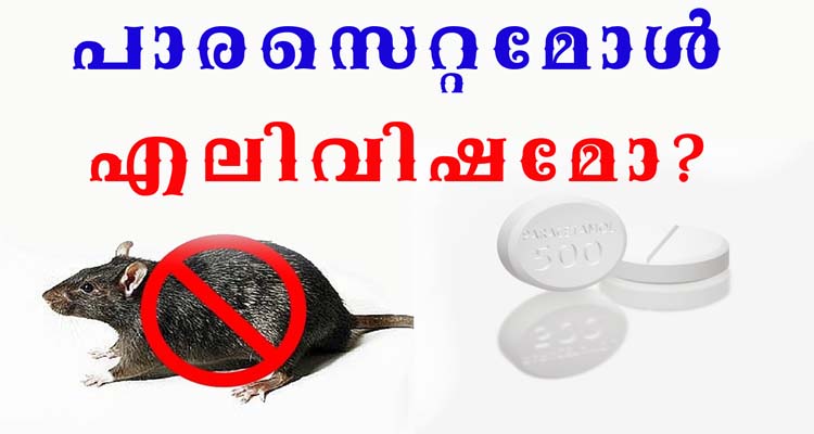 പാരസെറ്റമോൾ എലിവിഷമോ