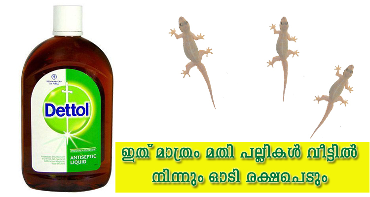 ഇത് മാത്രം മതി പല്ലികൾ വീട്ടിൽ നിന്നും ഓടി രക്ഷപെടും