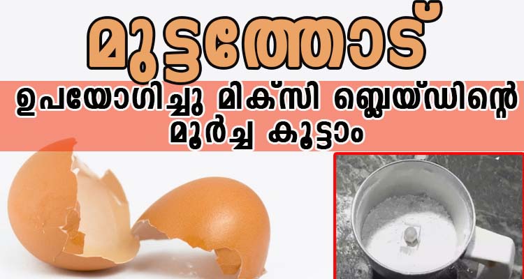 മുട്ടത്തോട് കൊണ്ട് മിക്സിയുടെ ബ്ലെയ്ഡ് മൂർച്ച കൂട്ടാം