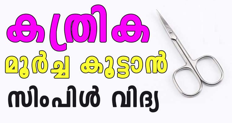 കത്രിക മൂർച്ച കൂട്ടാൻ സിംപിൾ ടെക്നിക്