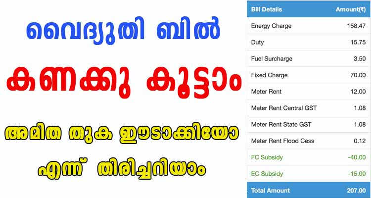 വൈദ്യുതി ബിൽ അമിത തുക ഈടാക്കപ്പെട്ടോ എന്ന്  തിരിച്ചറിയാം