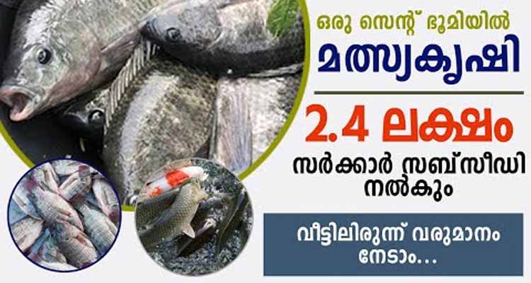 വീട്ടിലിരുന്നു സമ്പാദിക്കാൻ ചെറിയ ചിലവിൽ മീൻകൃഷി,2.4 ലക്ഷം രൂപ സർക്കാർ സബ്‌സിഡി ലഭിക്കും