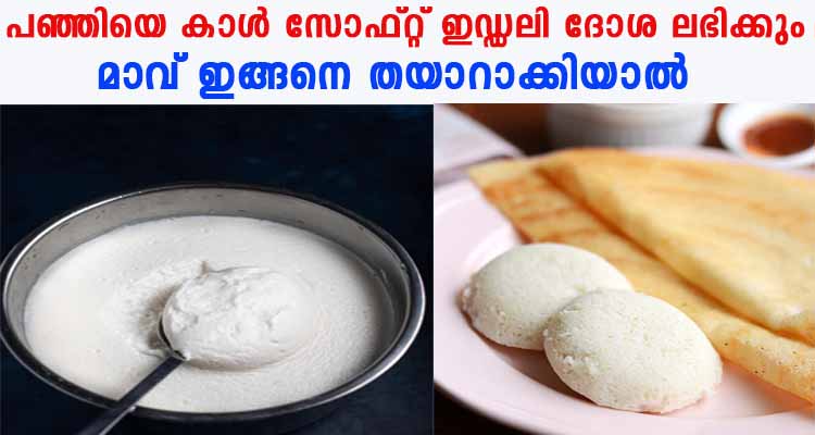 പഞ്ഞിയെ കാൾ സോഫ്റ്റ് ഇഡ്ഡലി ദോശ തയാറാക്കാം