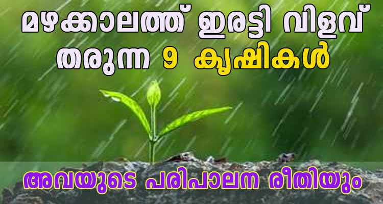 മഴക്കാലത്ത് ഇരട്ടി വിളവ് ലഭിക്കുന്ന 9 കൃഷികൾ