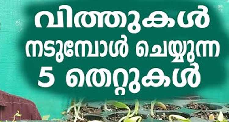 നടുന്ന വിത്തുകൾ മുളക്കാത്ത ചിലപ്പോൾ അറിയാതെ ചെയ്യുന്ന ഇ തെറ്റ് കൊണ്ടാകാം.