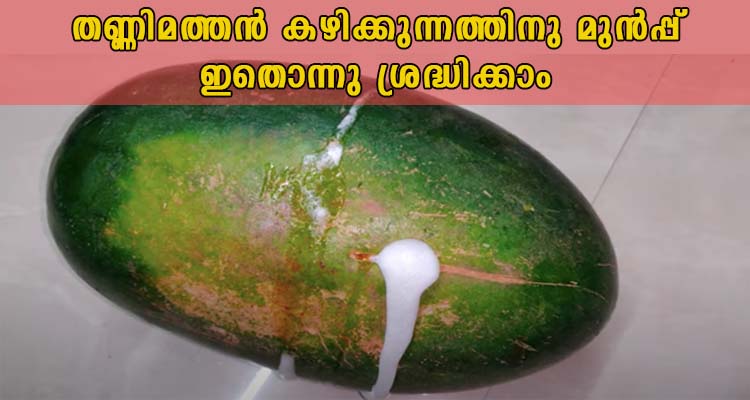 ഇത് ശ്രദ്ധിച്ച ശേഷം മാത്രം ഇനി തണ്ണി മത്തൻ കഴിക്കു